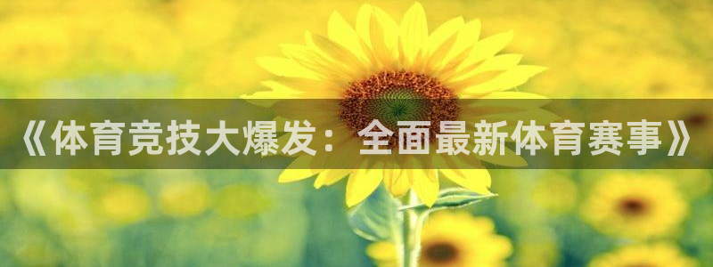 《体育竞技大爆发：全面最新体育赛事》