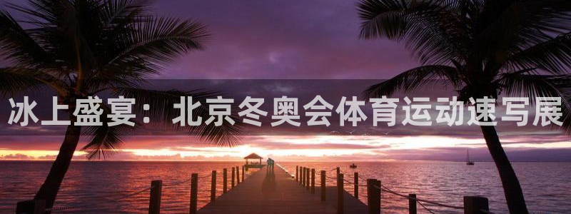 冰上盛宴：北京冬奥会体育运动速写展