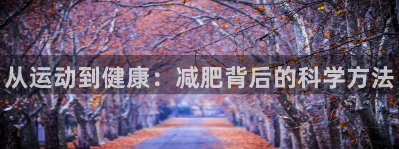 从运动到健康：减肥背后的科学方法