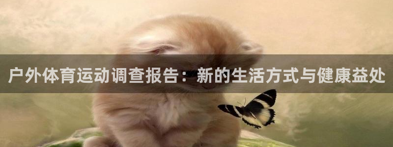 户外体育运动调查报告：新的生活方式与健康益处