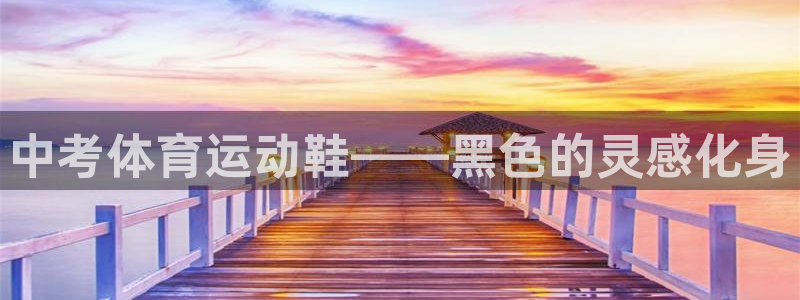 中考体育运动鞋——黑色的灵感化身