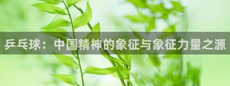 乒乓球：中国精神的象征与象征力量之源