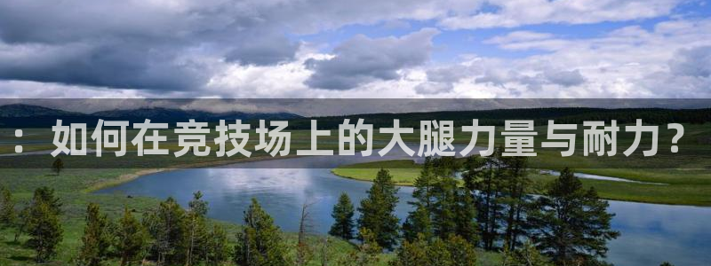 ：如何在竞技场上的大腿力量与耐力？