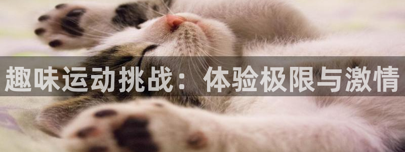 趣味运动挑战：体验极限与激情