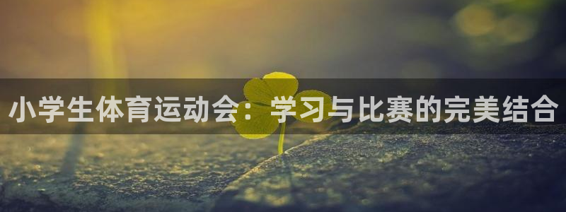 小学生体育运动会：学习与比赛的完美结合