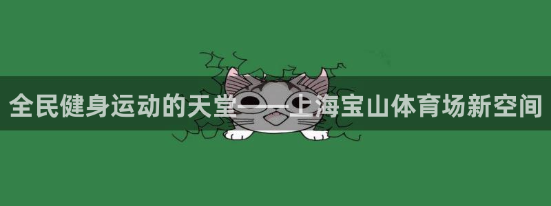 全民健身运动的天堂——上海宝山体育场新空间