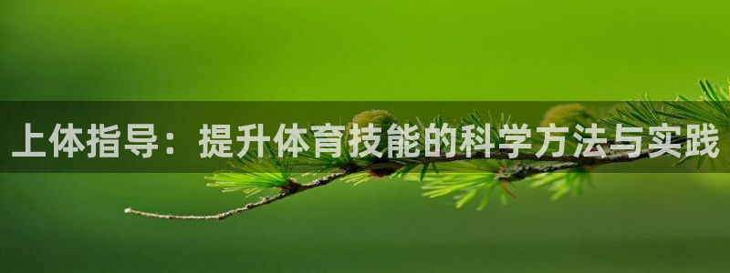 上体指导：提升体育技能的科学方法与实践