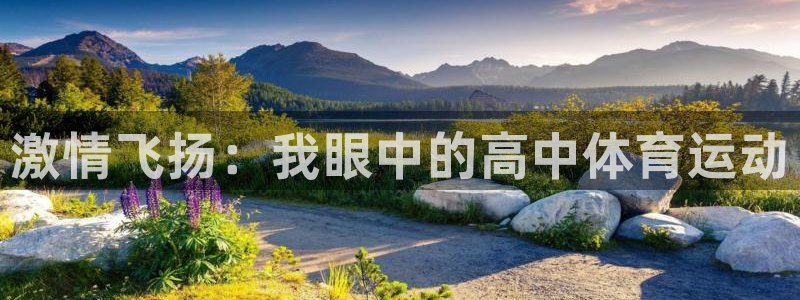 激情飞扬：我眼中的高中体育运动