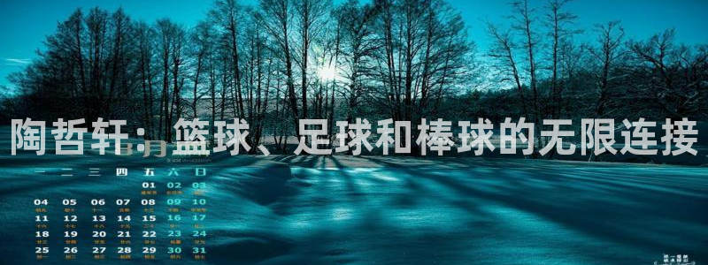 陶哲轩：篮球、足球和棒球的无限连接